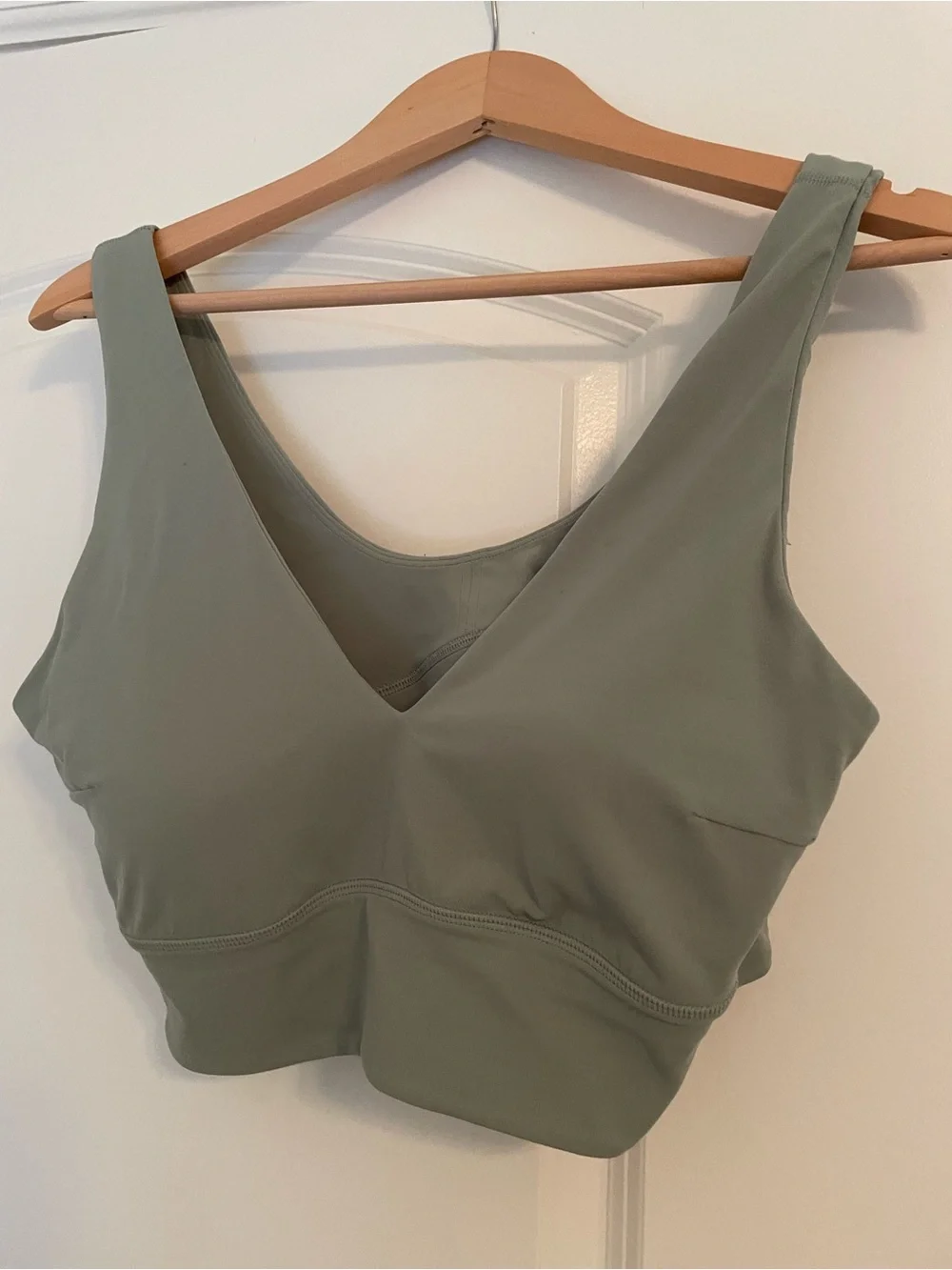 Lululemon Align V-Neck Bra Palm Court Size 14